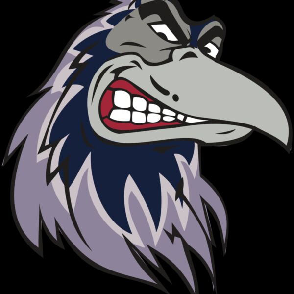 RAVEN HD0504 RQC Thumbnail